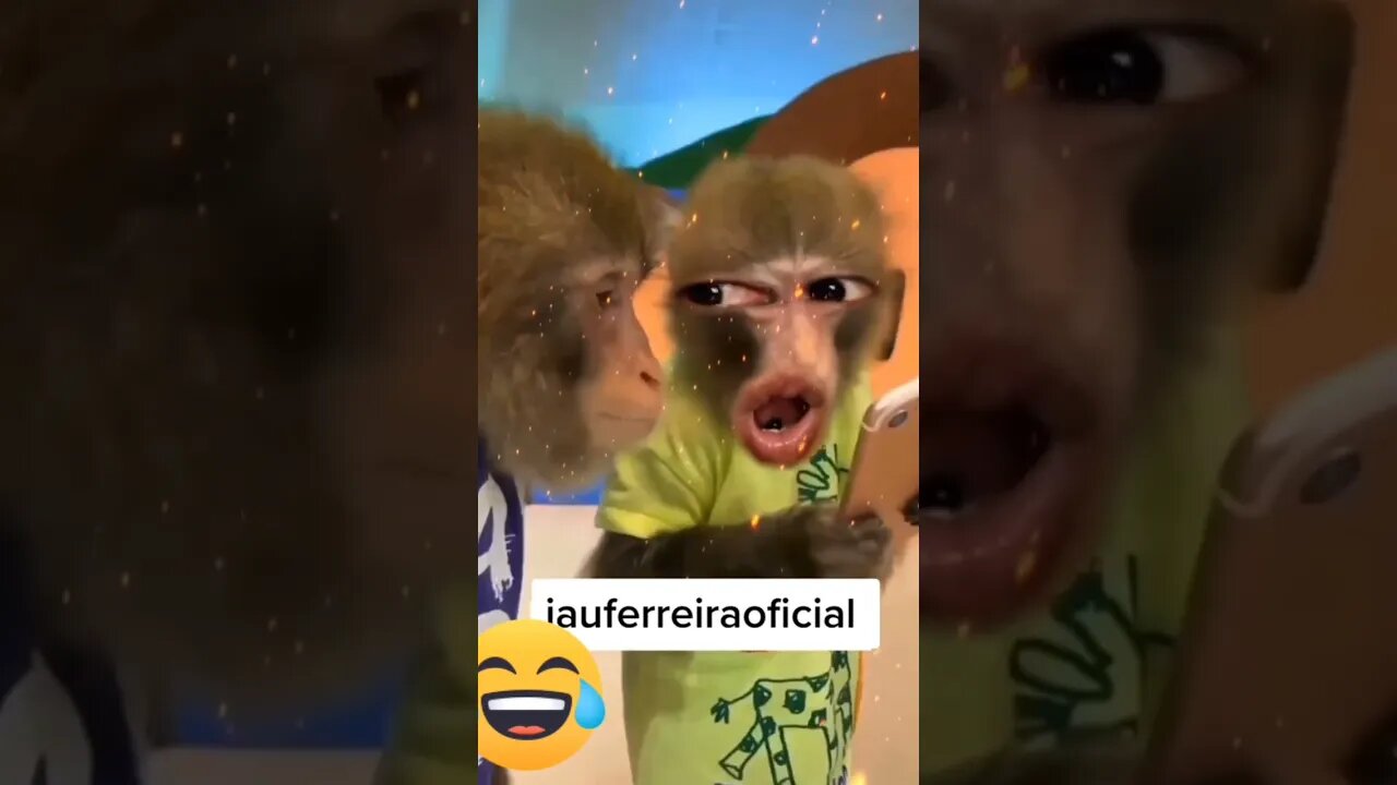 macaconildo sua resenhas