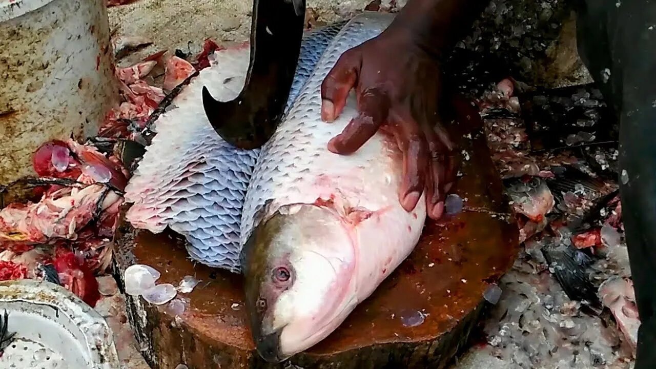 The Best Fish Shop | Sea Food | மீன் கடை