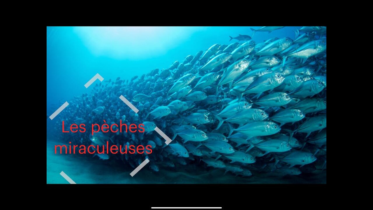 Les pêches miraculeuses