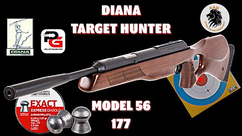 Diana Model 56 Target Hunter in 177 shooting JSB 7.87gn 35 yards