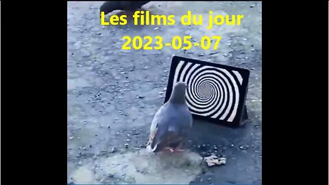 Les films du jour = 2023-05-07