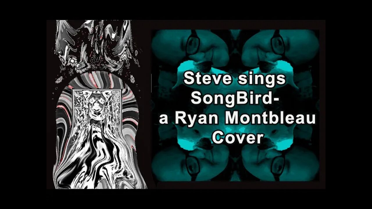 SONG Bird Ryan Montbleau cover