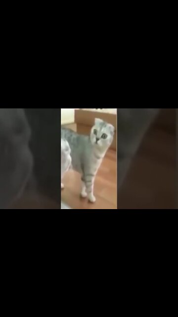 A Hora do Espanto 1 #shorts