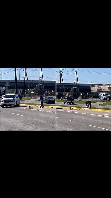 Police officer helps mama duck and her ducklings across the street