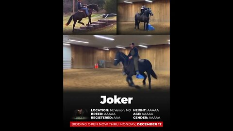 ♦𝐓𝐇𝐄 𝓗𝓸𝓻𝓼𝓮𝓶𝓪𝓷'𝓼 𝐒𝐇𝐎𝐖𝐂𝐀𝐒𝐄♦ - Horsebid LLC online auction ending Monday | December 12th! Horsebid.com