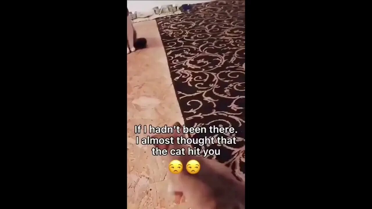 This puppy deserves an Oscar