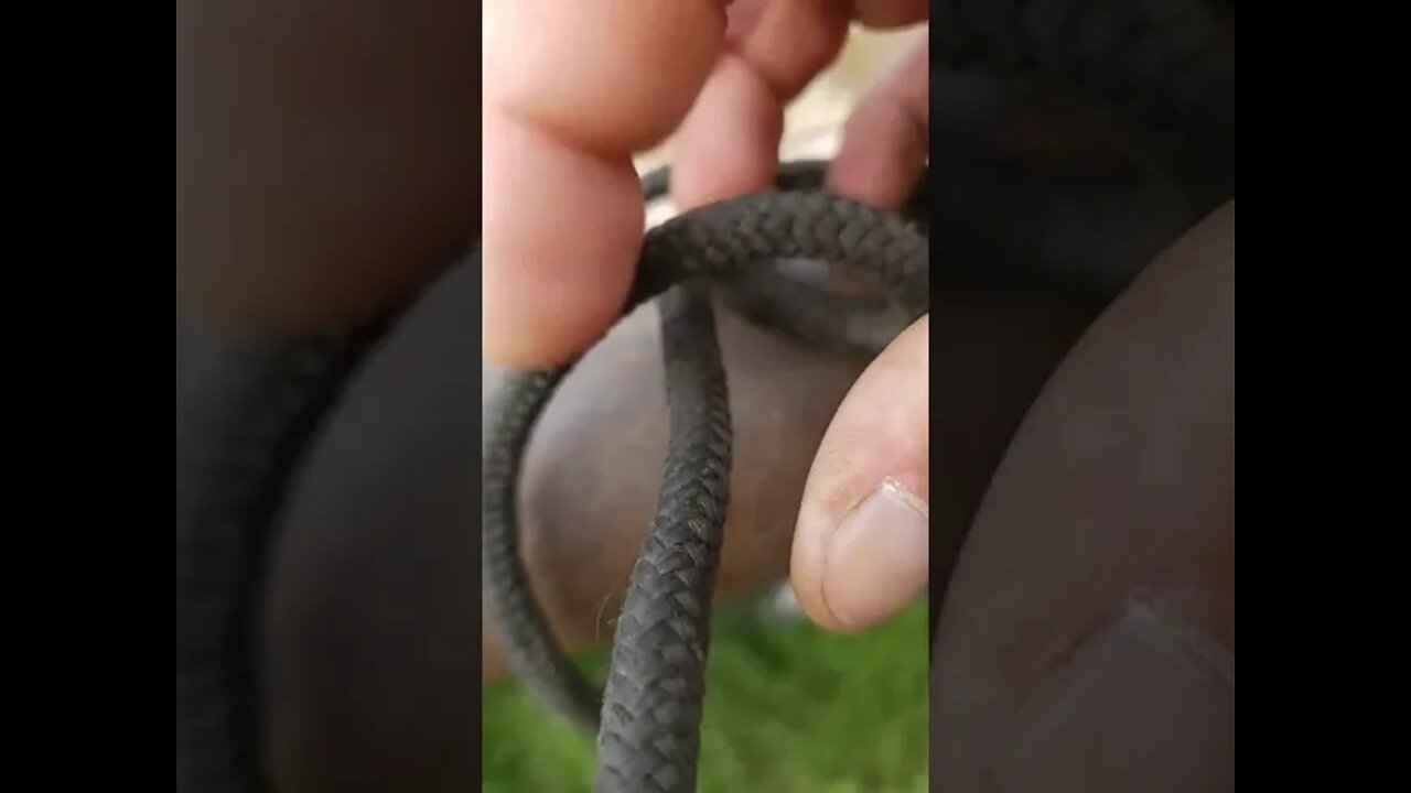 Clinging Clara Hitch (knots)