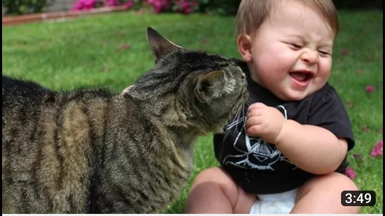 Funny babies laughing hysterically at cat compilation 2023:::