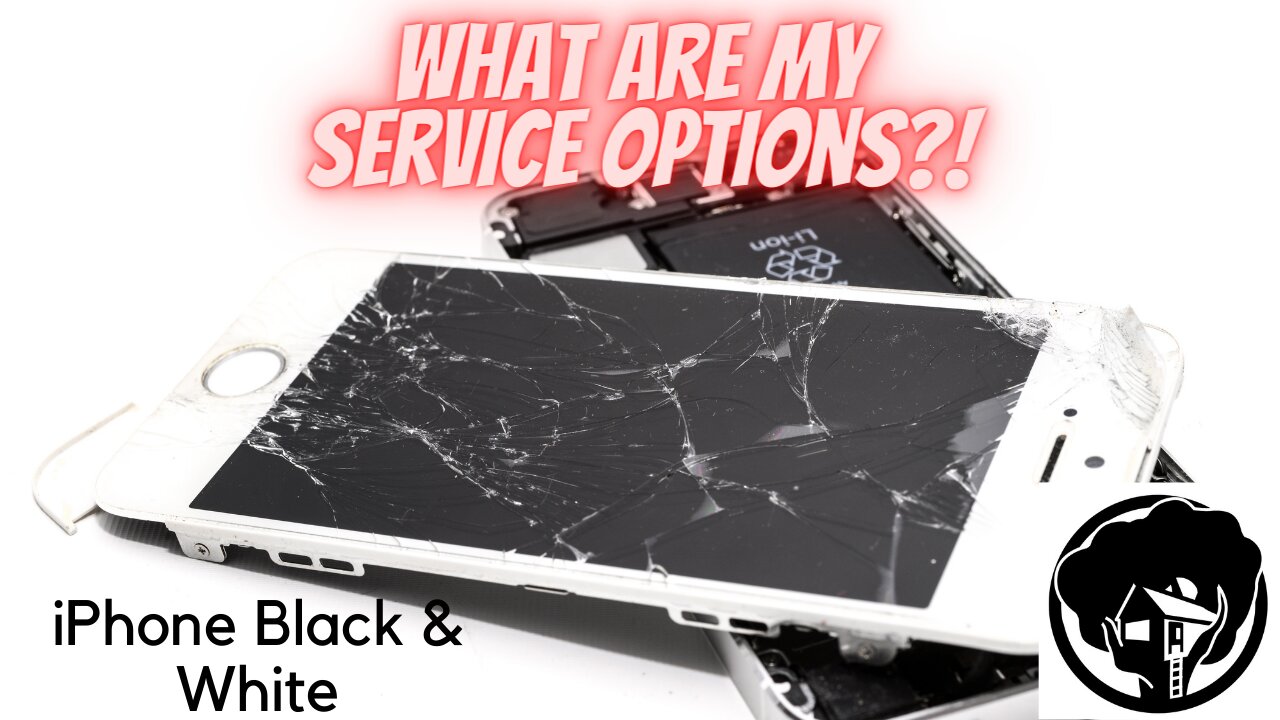 Service Options - Best options to set up service