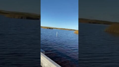 Beautiful scenery in Canada