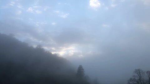 Beautiful sounds of an Australian winter morning as we head towards Spring