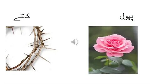 Class I Urdu B Ilfaz Mutazad Likhny Ka Tarika