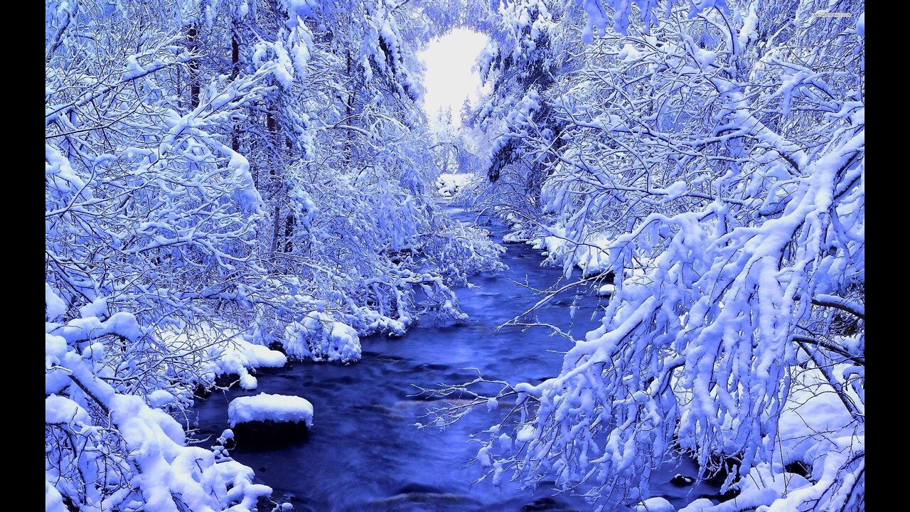 Winter is beautifull Wildlife en Nature Scenery HD !!!