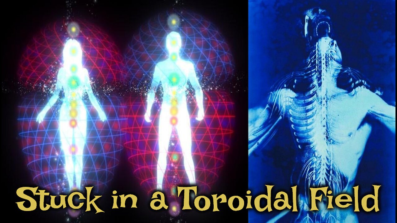 The Toroidal Field And The Apple: Earth Is Stuck In Creating Dense Matter Forms