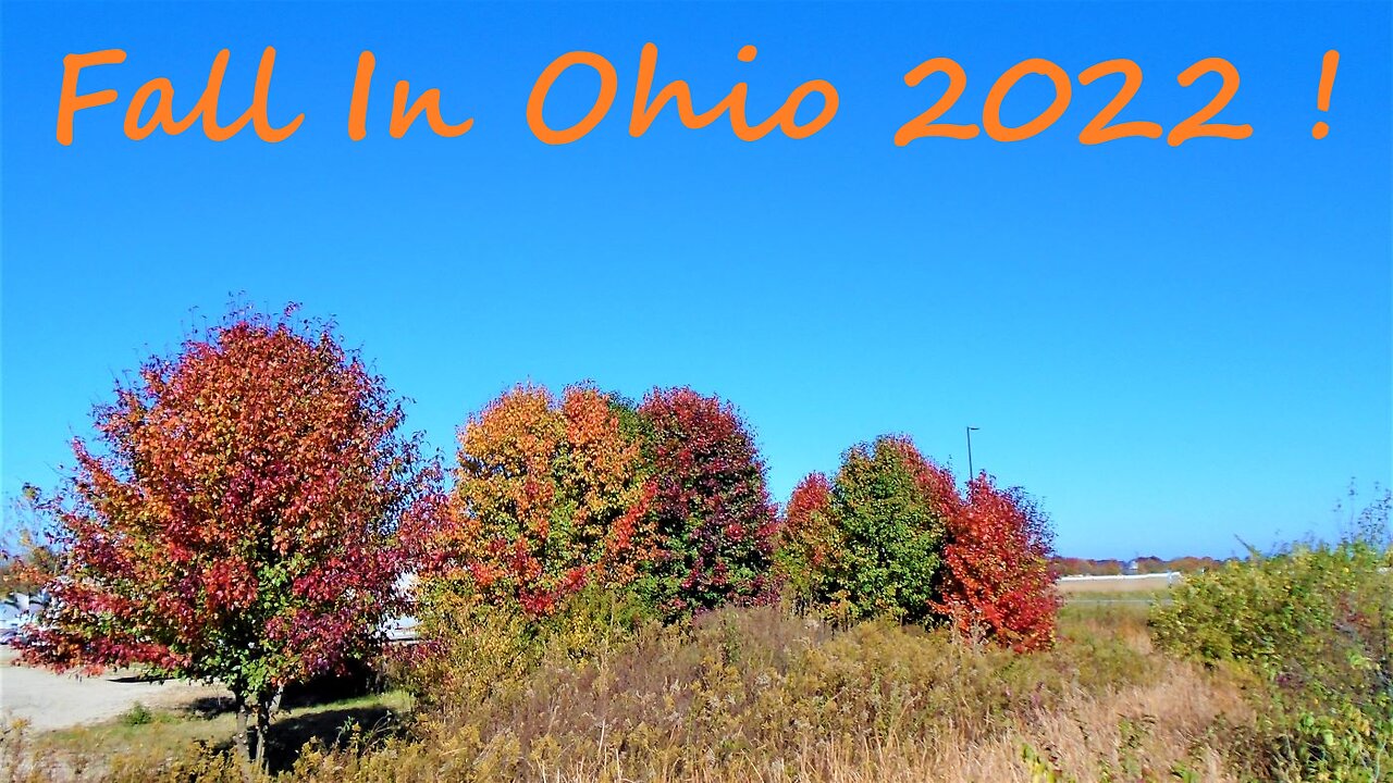 Autumn In Ohio 2022 !