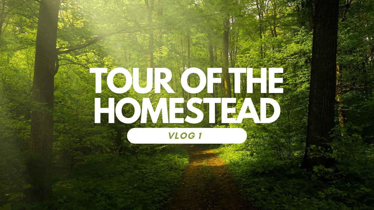 Vlog 1 - Tour of the Homestead