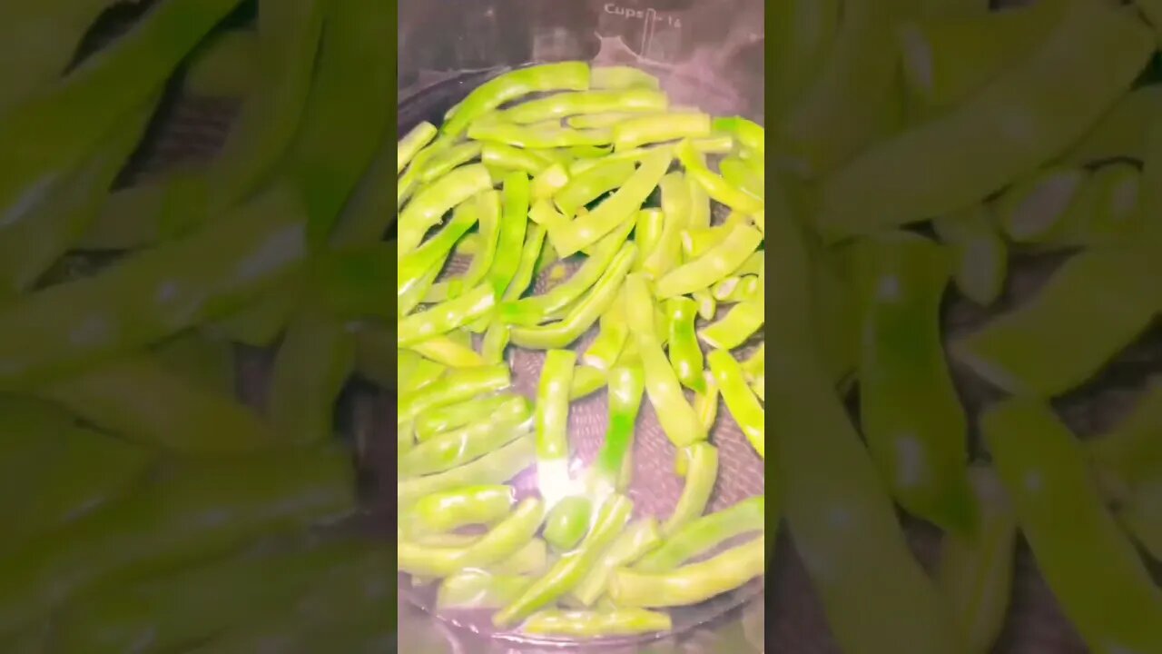 Green Bean Harvest #greenbean #homestead #harvest #foryou #healthylifestyle #gardening