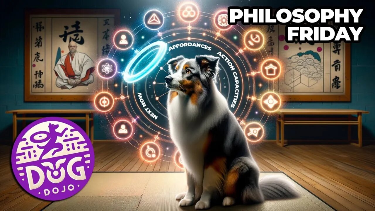 Philosophy Friday: Affordances, Action Capacities & Play+ | DiscDog Dojo #152 🤔🐶🥏🌐