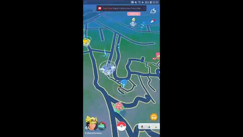 Live de Pokémon GO