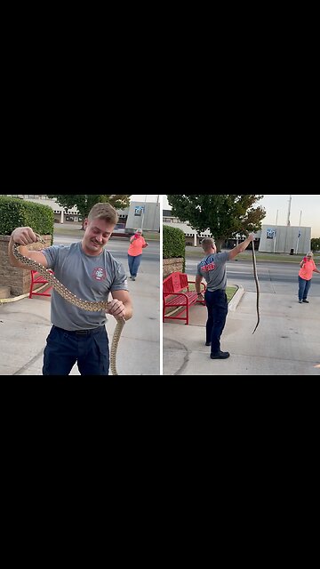 Firefighter wrangles snake that slithered underneath car
