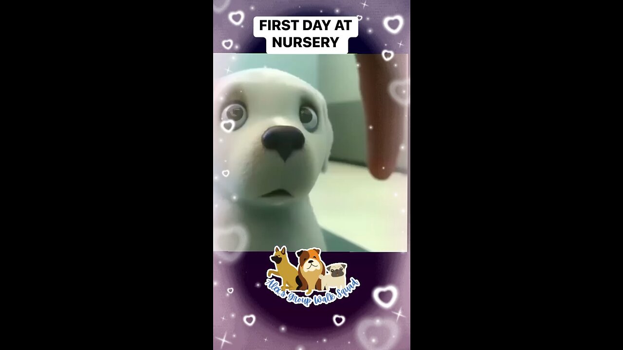 Dog training bootcamp