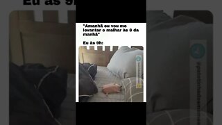 memes em imagens #58 Ele disse que tinha uma casa #shorts