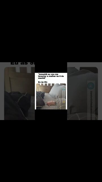 memes em imagens #58 Ele disse que tinha uma casa #shorts