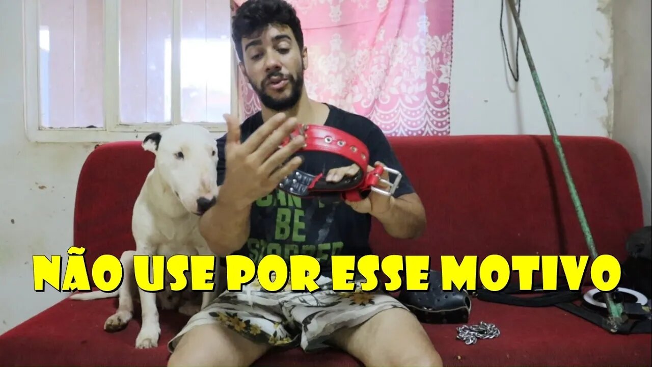 Não Use Guia e nem focinheira em Cãe