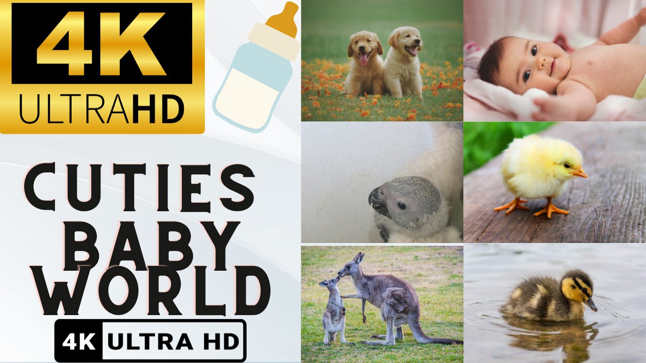 4K Cuties: Adorable Animal and Human Babies