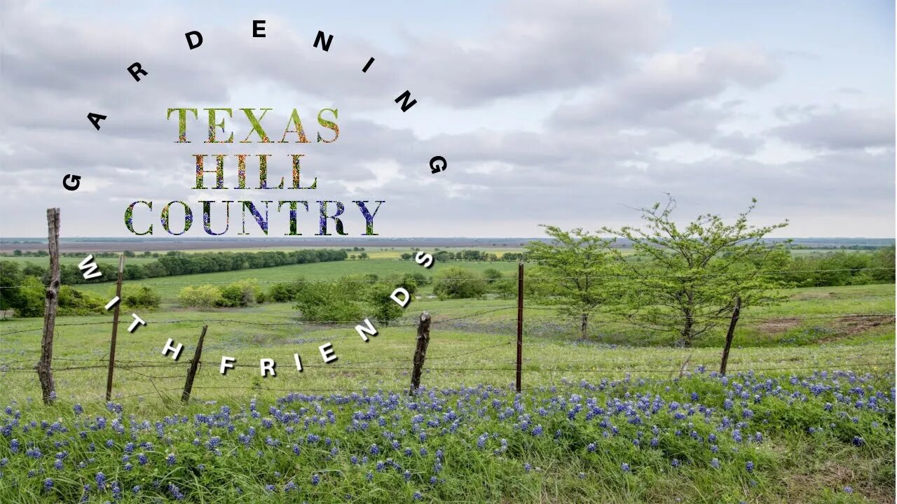 Gardening for Beginners in the Texas Hill Country