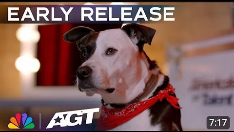 Early Release: Heather and Bogart _ Three-legged dog shows unbreakable spirit _ Auditions _ AGT 2023