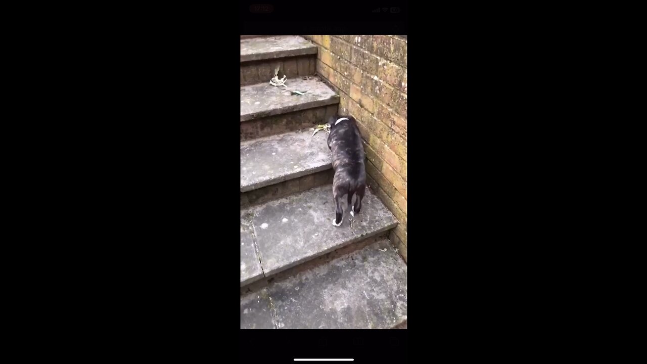 He didn’t grow up much