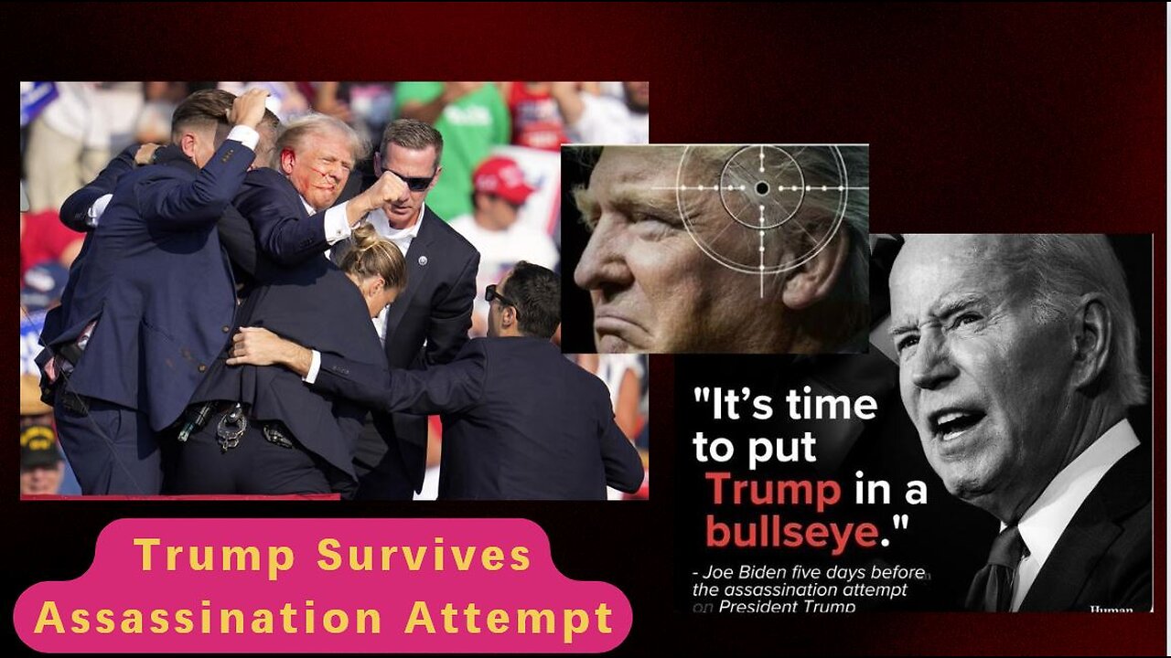 Donald J Trump Survives Assassination Attempt