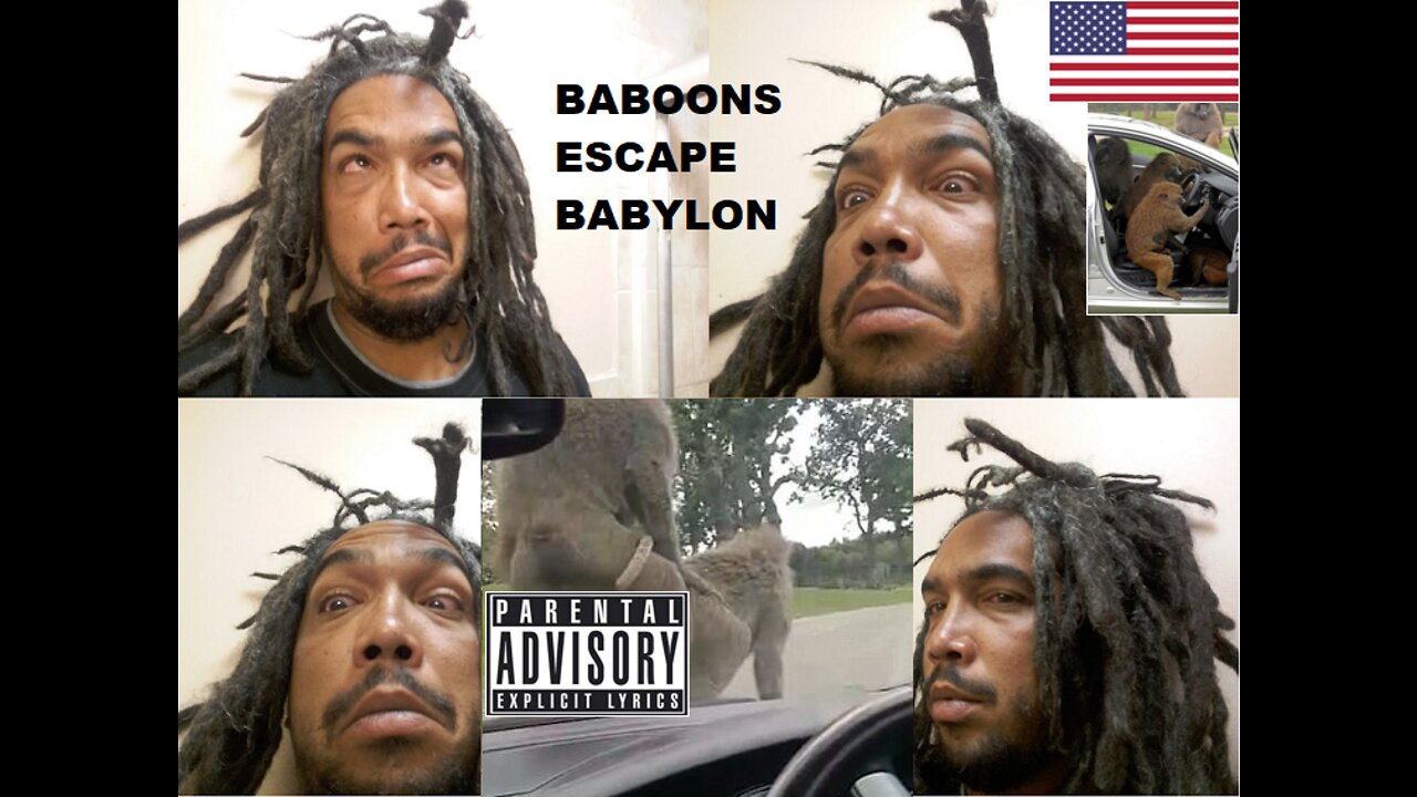 Baboons Escape Babylon Full Movie Jan 2022