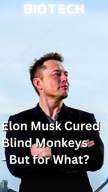 Did Elon Musk Cure Blindness in Monkeys?