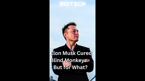 Did Elon Musk Cure Blindness in Monkeys?