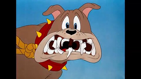 Tom And Jerry: Tom Bothers Dog