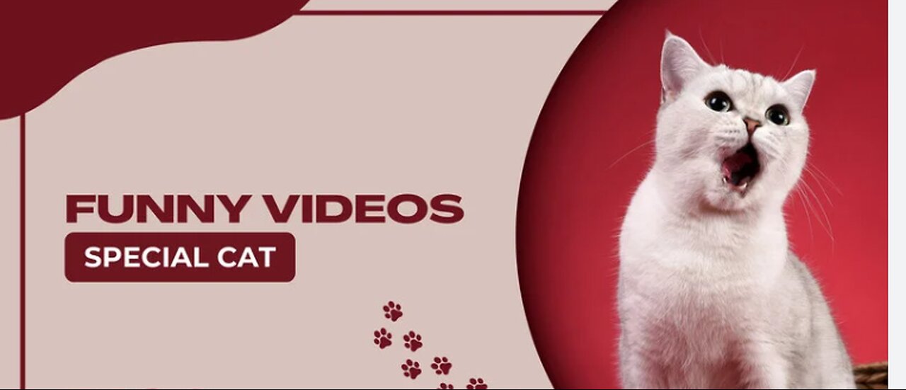 Best funny animal video,enjoy with funny cat and dog, 2022.#