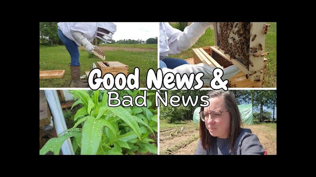 How Do I Fix This?! | Good and Bad News | Vlog