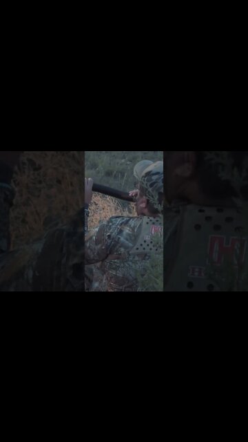 Elk season is almost here! check out this fall episode on our channel! #shorts