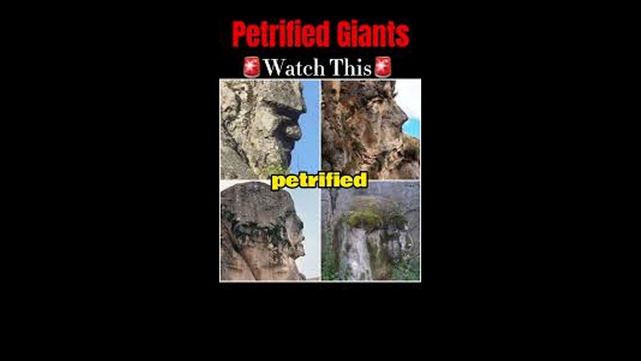 Our Petrified Giant Past - Petrified Titans, Giants & Huge Ancient Trees