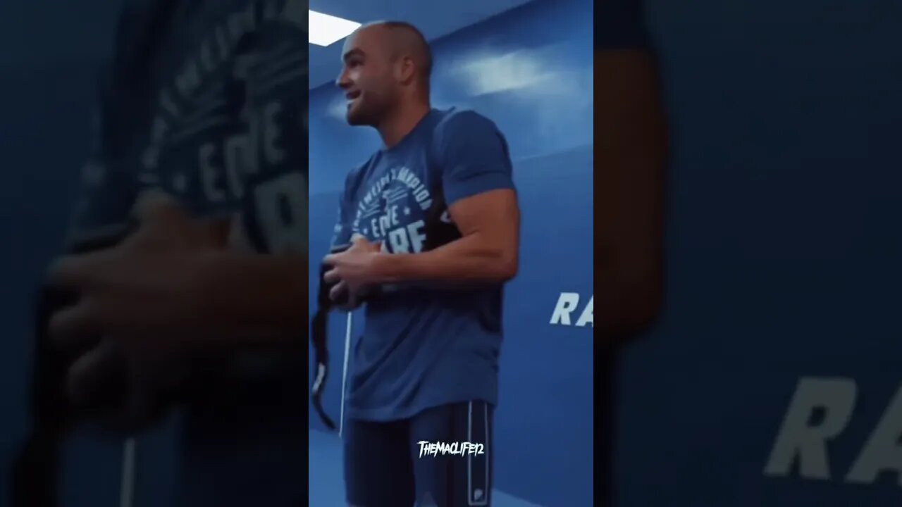 Punching Bags Don’t Hit Back🤡