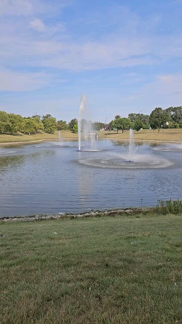 My Peaceful Place - Spying