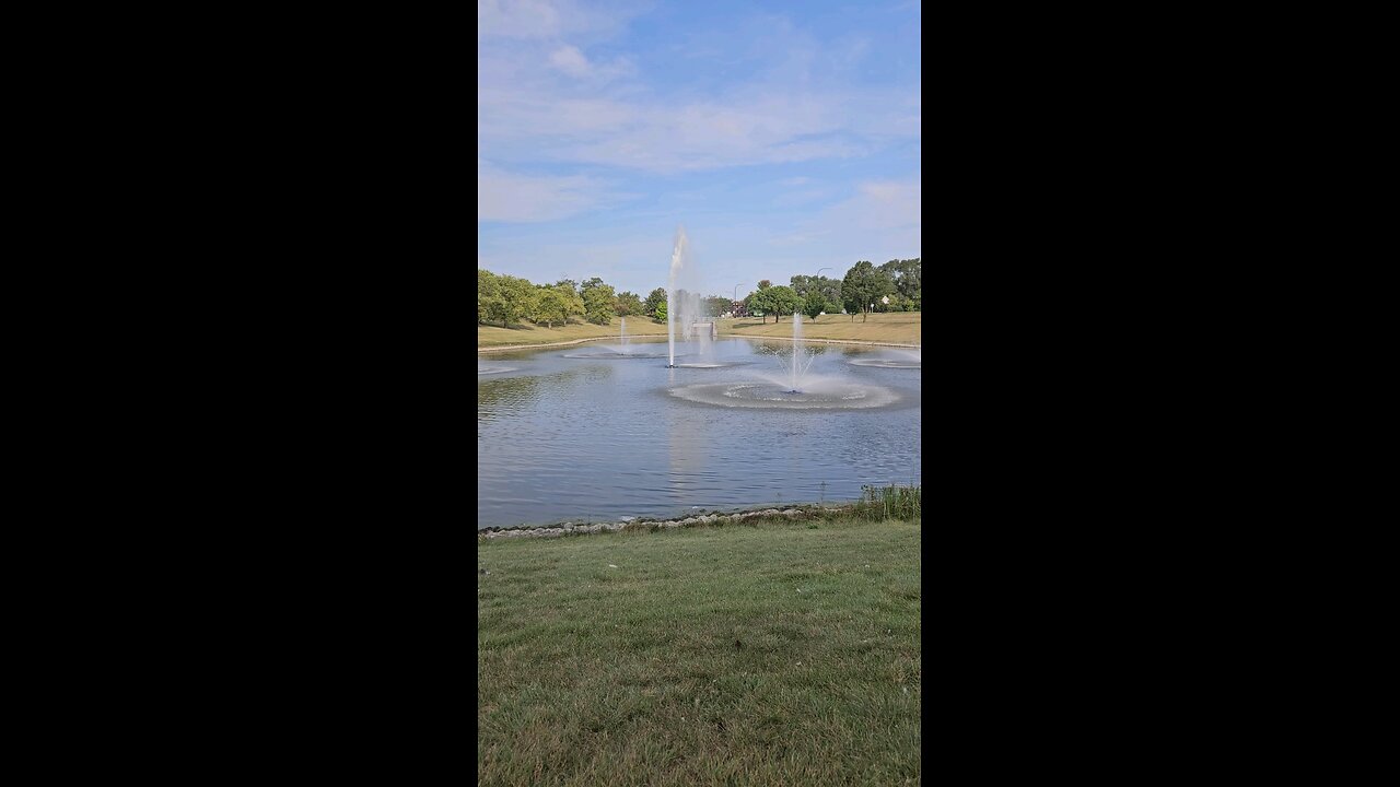 My Peaceful Place - Spying