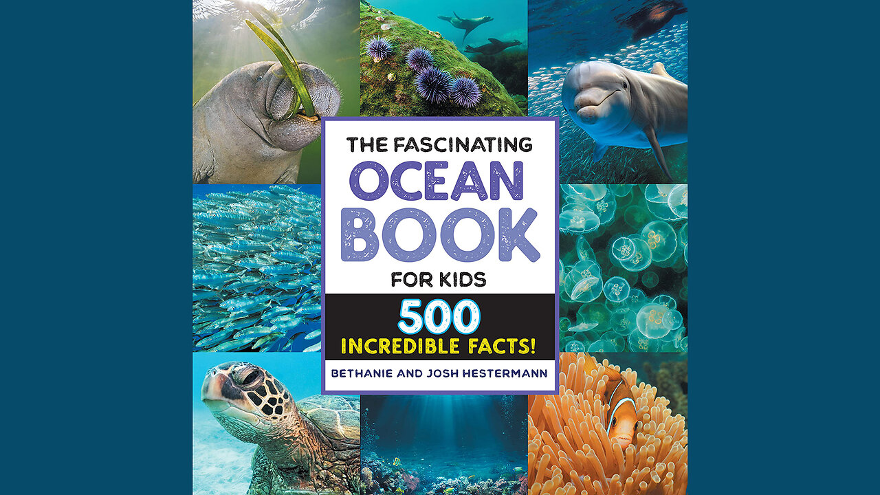 The Fascinating Ocean Book for Kids: 500 Incredible Facts!