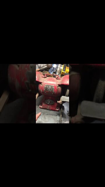 Wolf Bench Grinder - Preview of Coming Video #Shorts