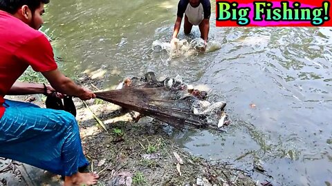 Traditional village pond fishing/Net fishing in village pond