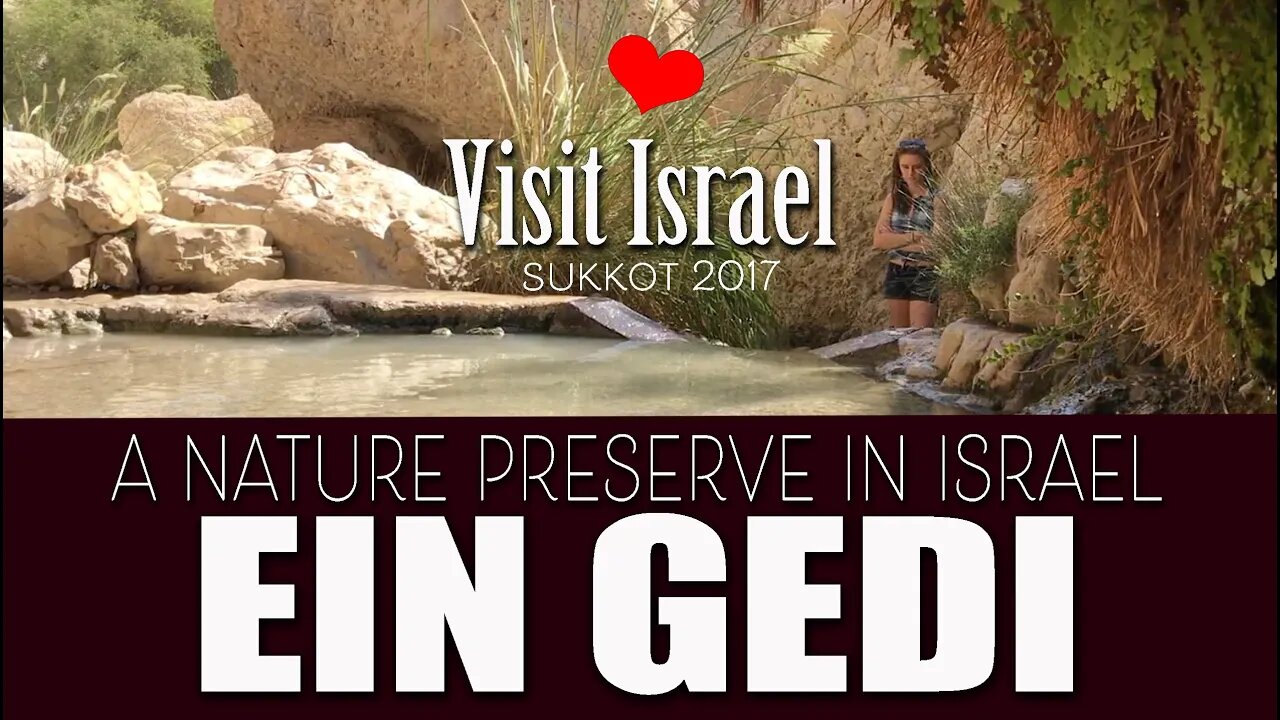 Ein Gedi Nature Reserve and National Park, 2017, Israel