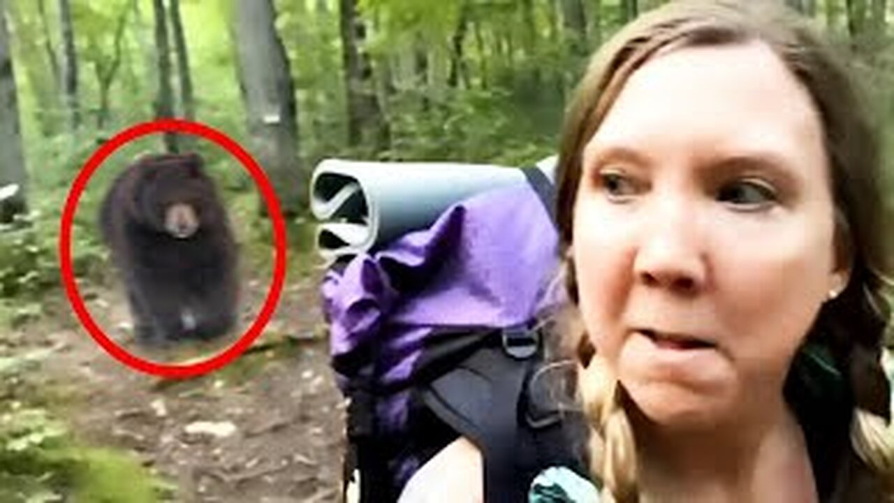 30 Scariest Bear Encounters of The Year