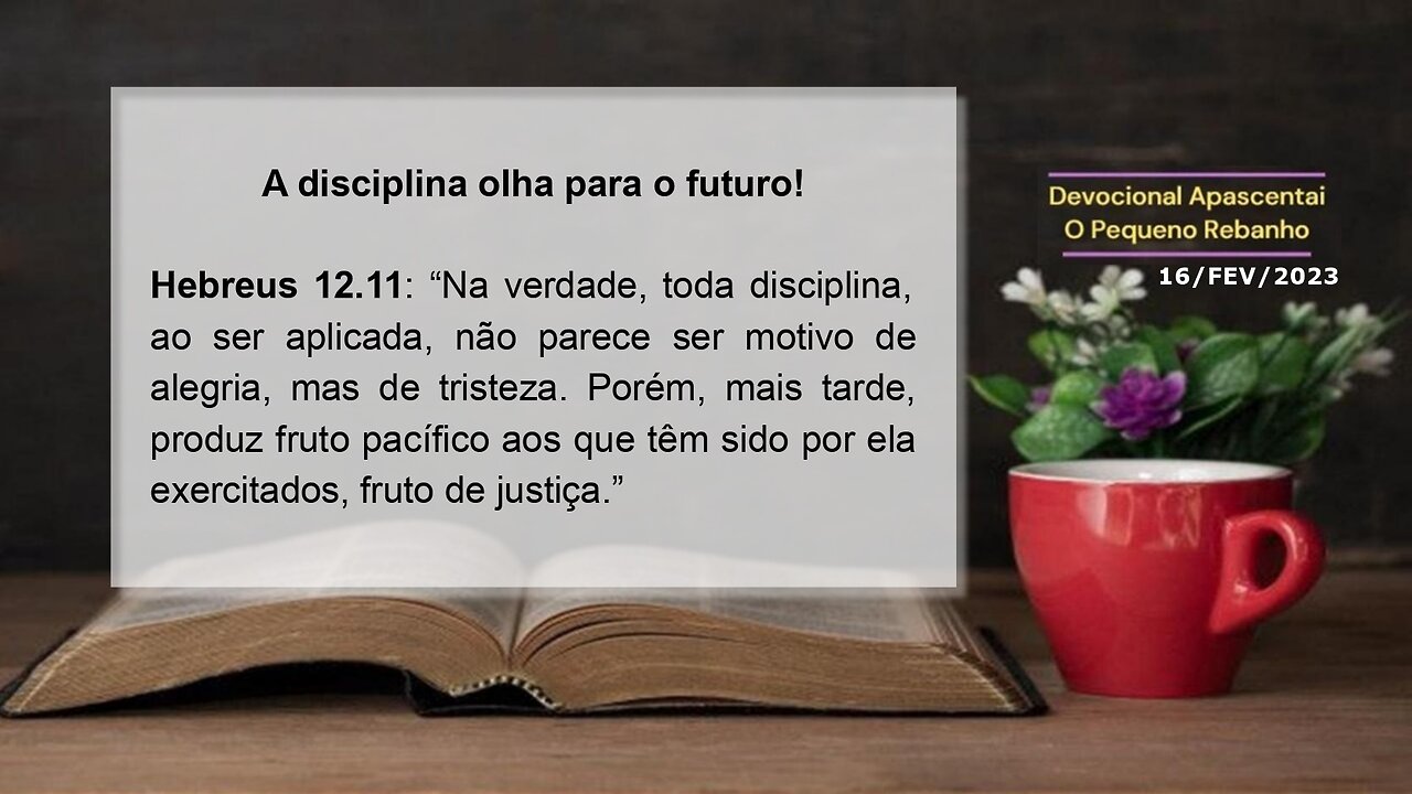 DEVOCIONAL - A disciplina olha para o futuro!